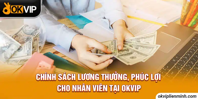 Chính sách lương thưởng, phúc lợi cho nhân viên tại OKVIP 