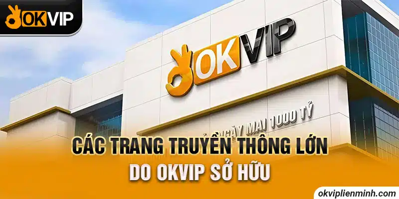 Các trang truyền thông lớn do OKVIP sở hữu